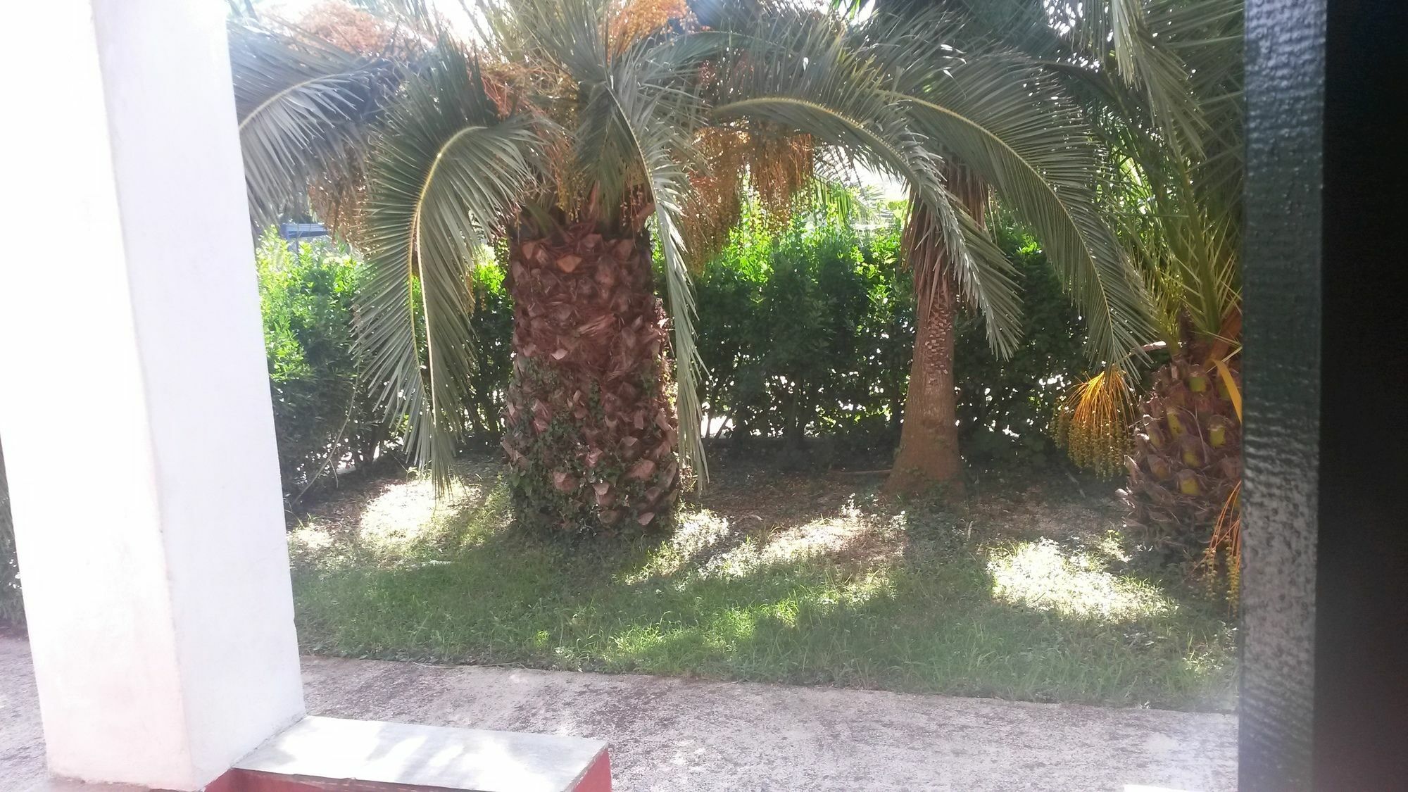 Appartement Sunny Dreams *